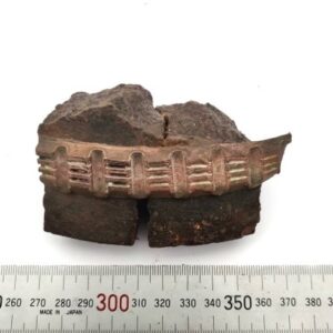 Grenade piece with beautiful Copper guide band.