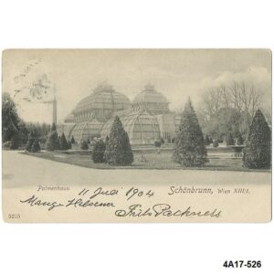 Schönbrunn. Palmenhaus. 1904