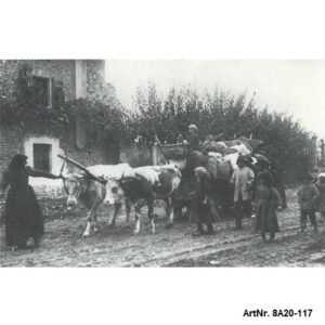 Italien refugees in Friuli